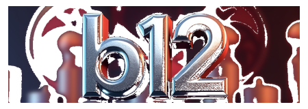 b12 logo